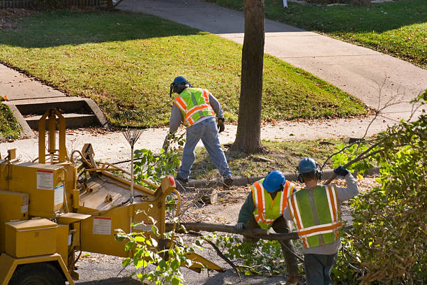 Best Lawn Watering Services  in Sebewaing, MI